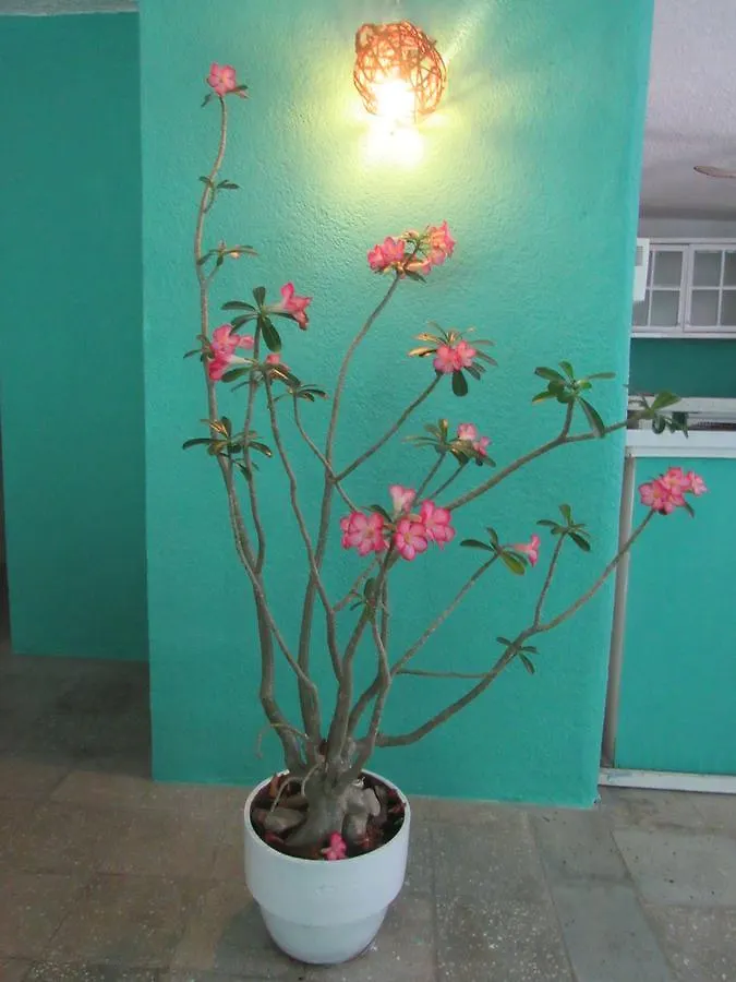 Casa Flores Cancun Hotell Pensionat